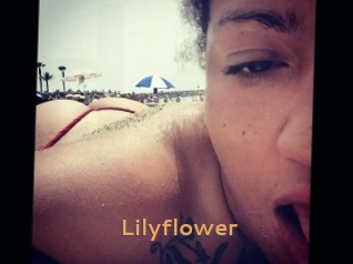 Lilyflower