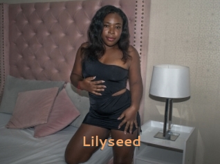 Lilyseed