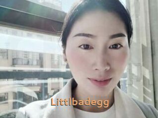 Littlbadegg