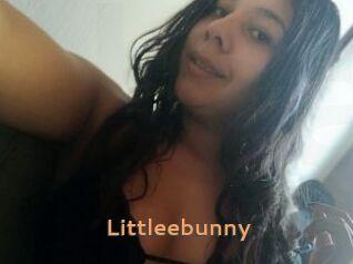 Littleebunny