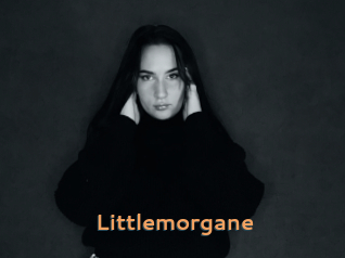 Littlemorgane