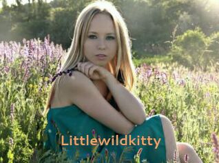 littlewildkitty Du Cul A Gogo