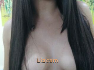 Lizcam