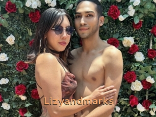 Lizyandmarks