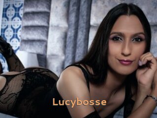 Lucybosse