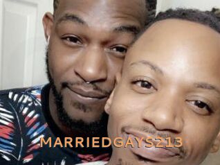 MARRIEDGAYS213