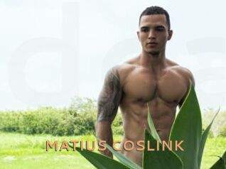 MATIUS_COSLINK