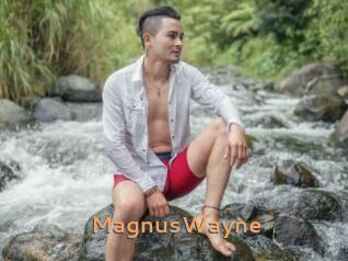 MagnusWayne