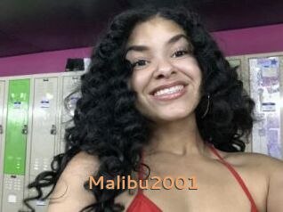 Malibu2001