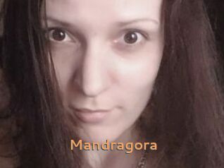 Mandragora