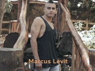 Marcus_Levit
