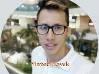 MateoHawk