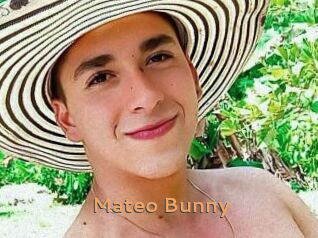Mateo_Bunny