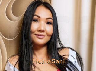 MeinaSani