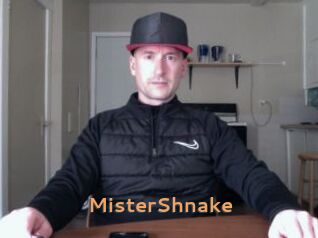 MisterShnake