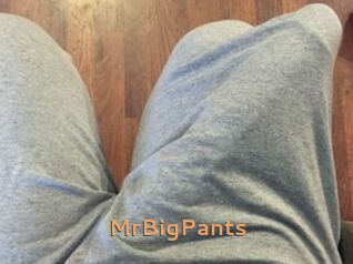 MrBigPants
