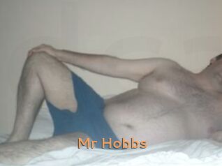 Mr_Hobbs