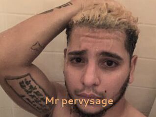 Mr_pervysage