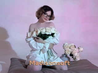 Madisonsoft