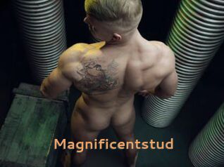 Magnificentstud
