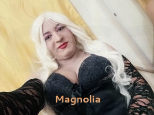 Magnolia