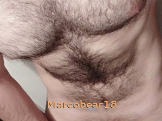 Marcobear18