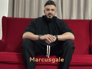 Marcusgale