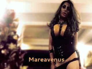 Mareavenus