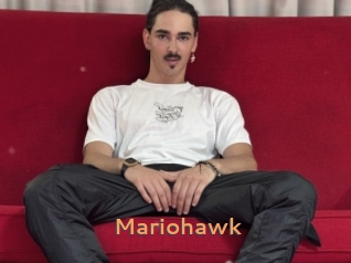 Mariohawk