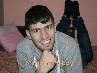 Mariohornyboy
