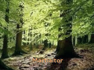 Martiaitor