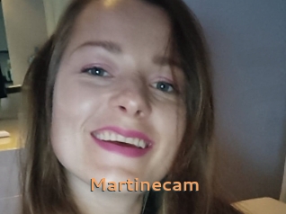 Martinecam