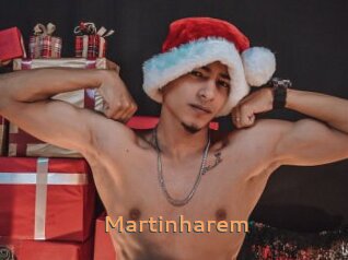 Martinharem