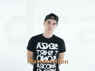 Mattestallion