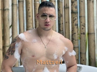 Mattseil