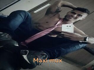 Maxi_mux