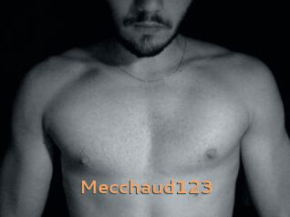 Mecchaud123