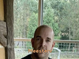 Meesterv
