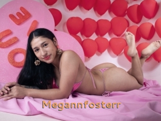 Megannfosterr