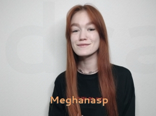 Meghanasp