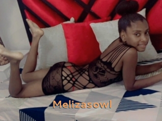 Melizasowl