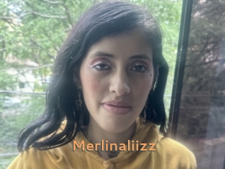 Merlinaliizz