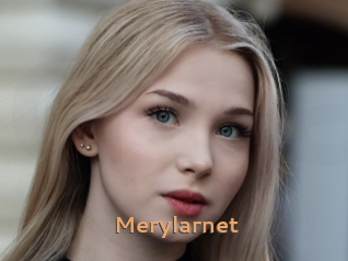Merylarnet
