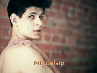 Miguelvip