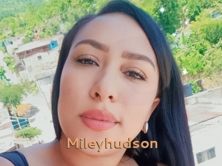 Mileyhudson