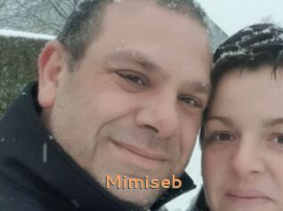 Mimiseb