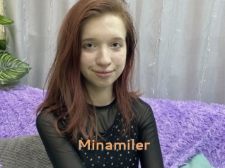 Minamiler