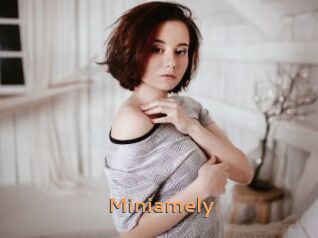 Miniamely
