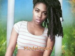 Modelmook