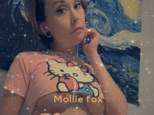 Mollie_fox